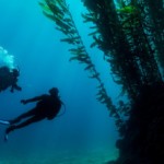 deep-diver-tieftauchen