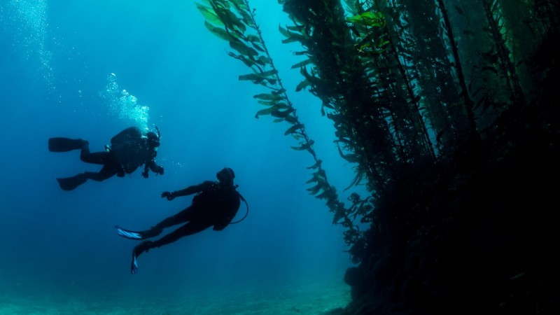 deep-diver-tieftauchen
